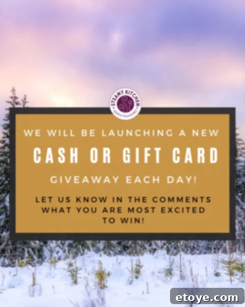 Day 5 Winter Wonderland Instant Cash Prize 6 More exciting giveaways and recipes from Steamy Kitchen