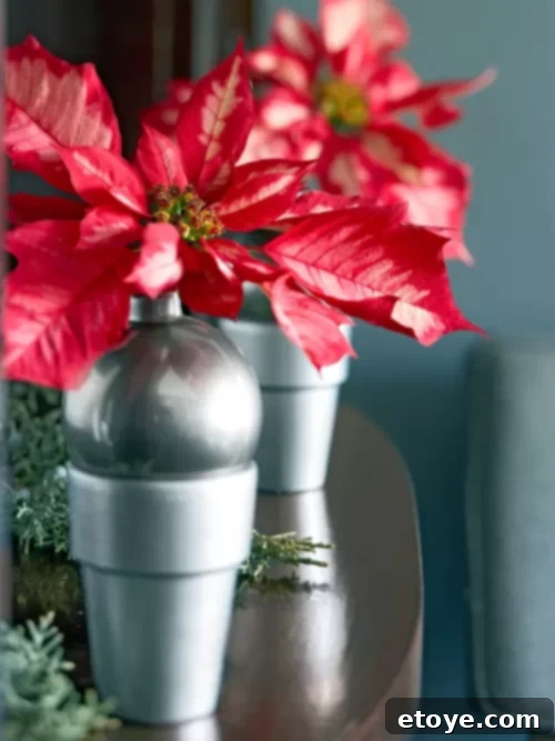 Win 100 Dollars of Fresh Flowers Day 7 5 Poinsettia with silver accents for Christmas decor