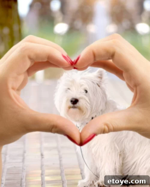 Day 22 Double Friendship Cash Giveaway 5 The joy of true friendship and companionship