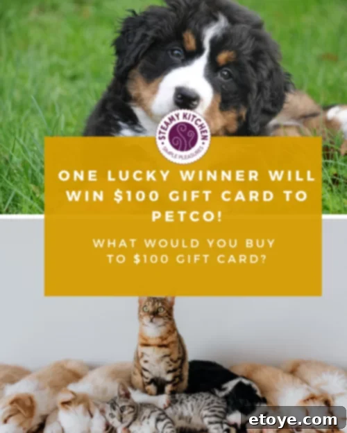 A pet owner cuddling their small dog, symbolizing the strong bond between humans and pets.