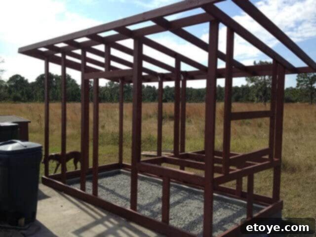 Chicken Coop Sloped Floor Detail Chicken coop framing from the opposite side, highlighting the sloped floor.