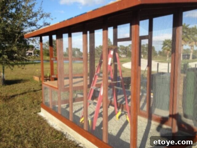 Hardware Cloth Installation Hardware cloth being stapled to the chicken coop frame with an automatic stapler.