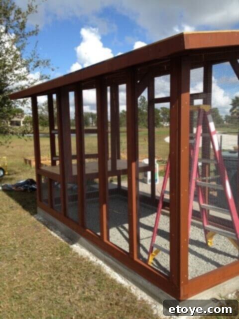 Chicken Coop Interior Framing Finish framing pieces installed over the hardware cloth inside the chicken coop.