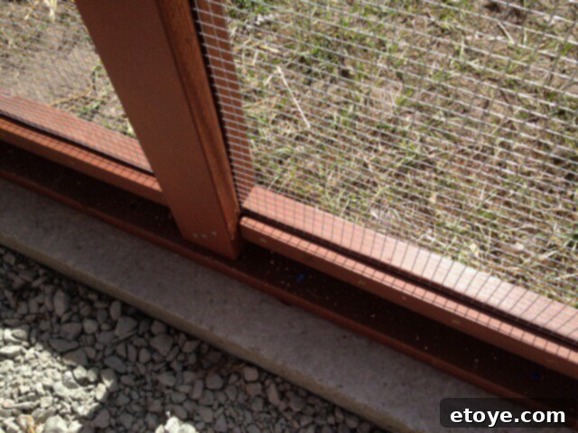 Hardware Cloth Securement Close-up of finish framing securing hardware cloth inside the coop.