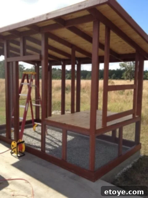 Chicken Coop Roof Sheathing Chicken coop frame with roof sheathing installed, viewed from the side.