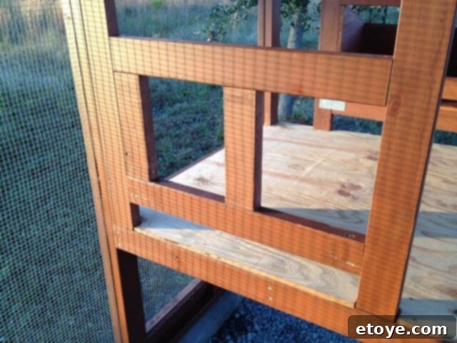 Hen Door Framing Framing for the hen access door in the chicken coop.