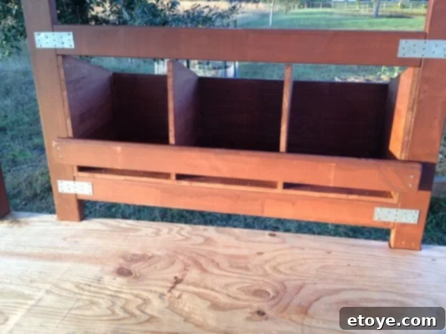 Nesting Box Framing with Sloped Floors Framing of chicken coop nesting boxes, showing sloped floors and elevated position.