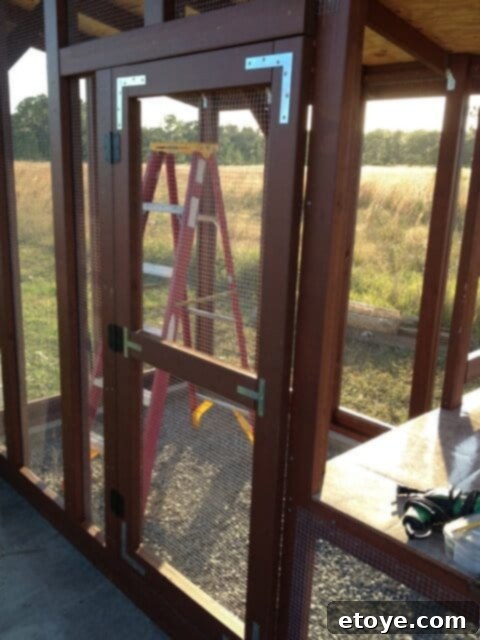 Main Chicken Coop Door Main access door to the chicken coop, built and mounted.