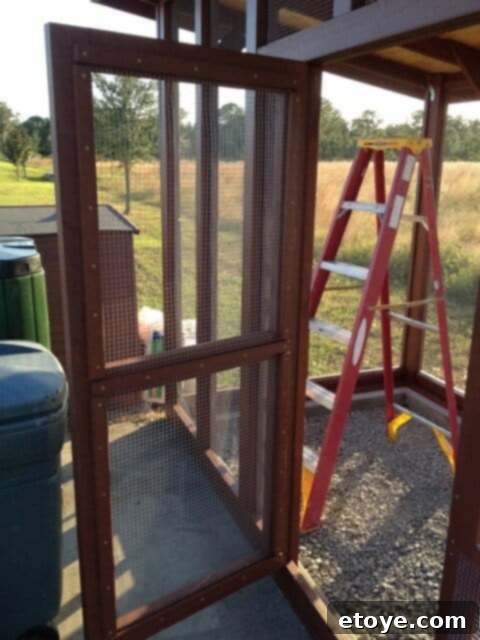 Main Coop Door Exterior Exterior view of the main access door on the chicken coop.