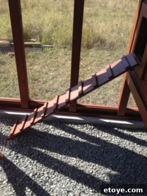 Chicken Coop Access Ramp Chicken coop access ramp, built and ready for installation.