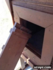 Detachable Chicken Ramp System Detail of the chicken coop access ramp's detachable mounting system with eye bolts.