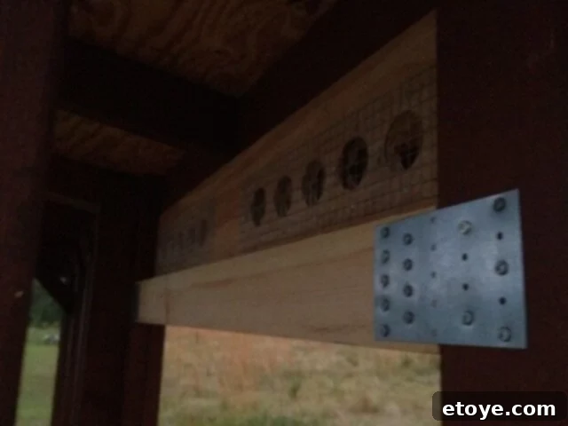 Coop Siding and Ventilation Side view of chicken coop showing siding, door stop 2x4, and ventilation holes with hardware cloth.