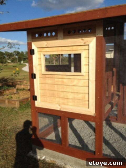 Main Coop Door Installed Main access door installed on the chicken coop, showing its integration.
