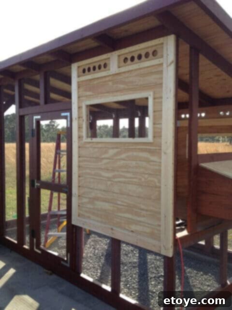 Back Coop Wall Back wall of the chicken coop fully installed with siding.