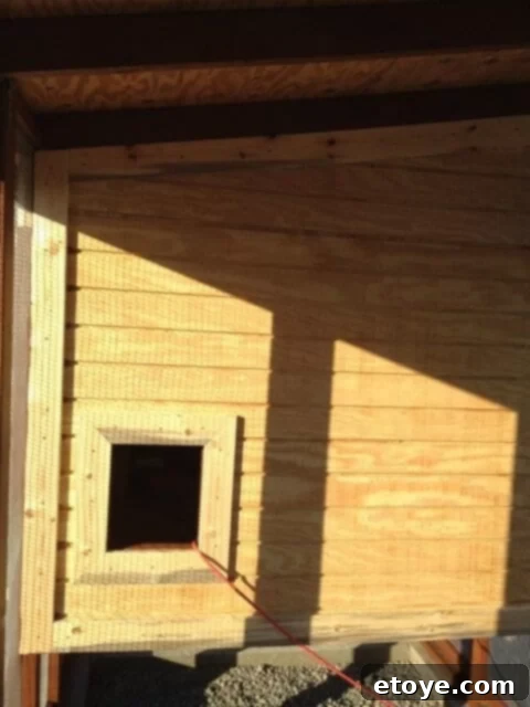 Chicken Ramp Side Wall Chicken coop side wall showing the opening for the hen ramp.