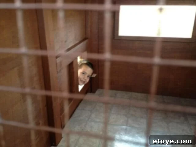 Nathan Inspects the Coop A child pretending to be a hen inside the newly stained chicken coop.