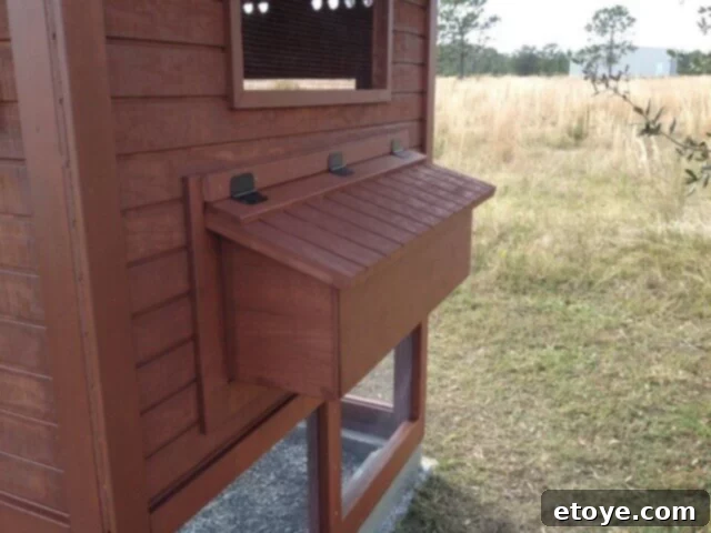 Nesting Box Cover and Overhang Chicken coop nesting box cover with protective overhang installed.