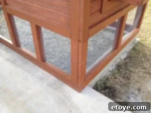Coop Underside Framing View under the chicken coop showing finish framing and connection of concrete pad to footing.