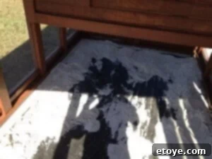 Run Edge Sand Sand placed around the edges of the weed block cloth in the chicken coop run.