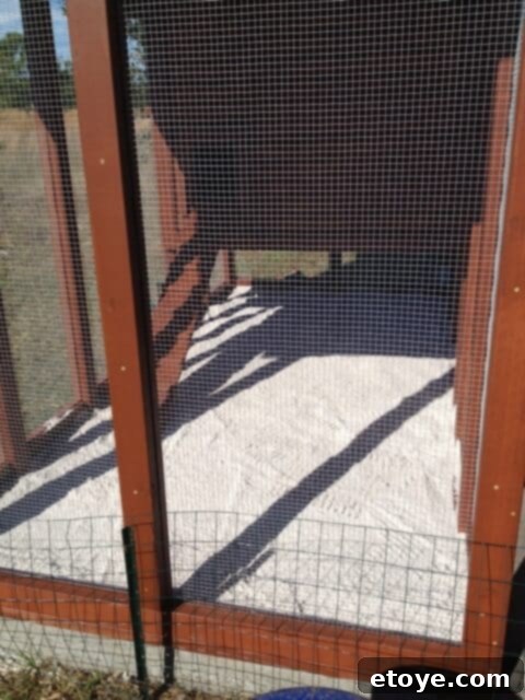 Chicken Coop Run Sand Layer Sand spread evenly over the weed block in the chicken coop run.
