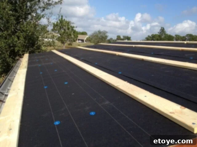 Roof Underlayment and Stripping Chicken coop roof with roofing paper and 1x4 stripping installed for ventilation.