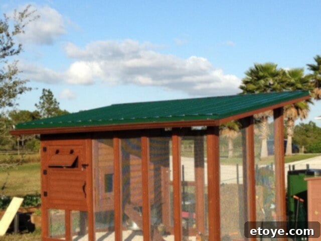 Chicken Coop Metal Roof Installation Metal roofing panels installed on the chicken coop, providing full coverage.