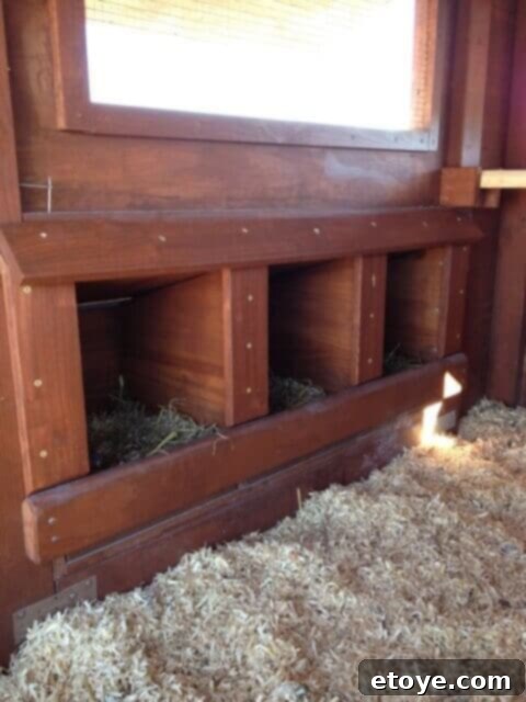 Nesting Boxes and Roost Bar Interior view of chicken coop nesting boxes with decorative trim and a roost bar.