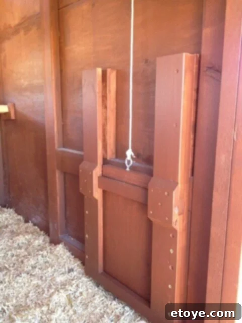 Coop Door Pulley System Main chicken coop door with rope and pulley system, showing the door mechanism.