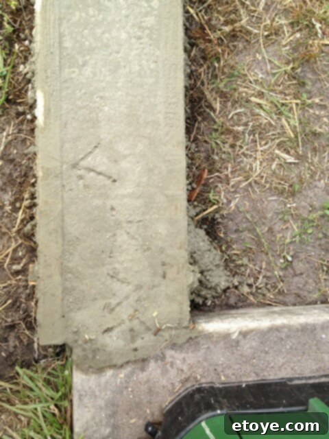 Unexpected Chicken Footprints in Concrete Chicken footprints clearly visible in the freshly poured concrete footer.