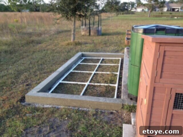 Chicken Coop Drainage System Detail Close-up view of the chicken coop's foundation with the PVC drainage pipe visible.