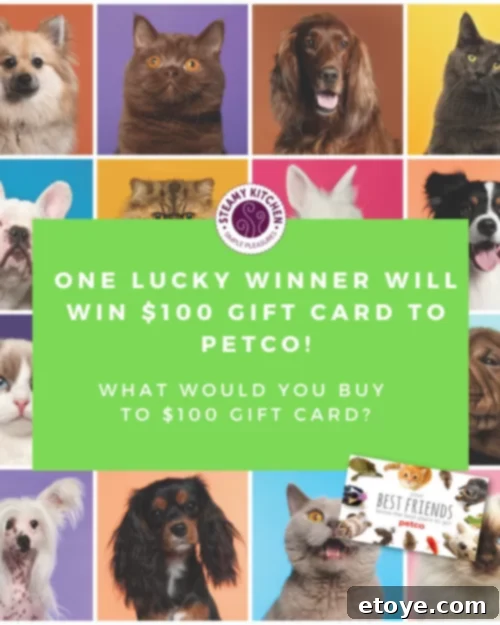 Win a 100 Petco Gift Card 3 Your Pet's Dream Shopping Spree Awaits at Petco
