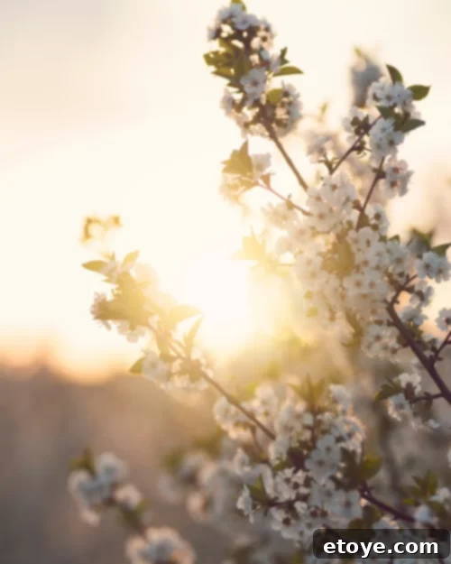 Changing Seasons 250 Dollar Cash Giveaway 3 Enjoying fresh air outdoors during changing seasons for health and well-being