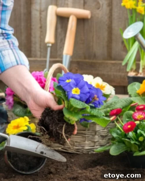 Supreme Garden Instant Win Challenge 3 Sunday Instant Win: Supreme Gardening Amazon Instant Win - Connection with Nature