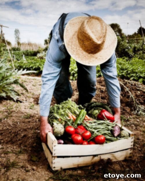 Supreme Garden Instant Win Challenge 4 Gardening cultivates a sense of accomplishment and self-confidence