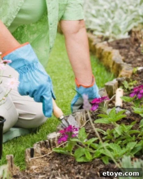 Supreme Garden Instant Win Challenge 6 Gardening for mindfulness and stress relief