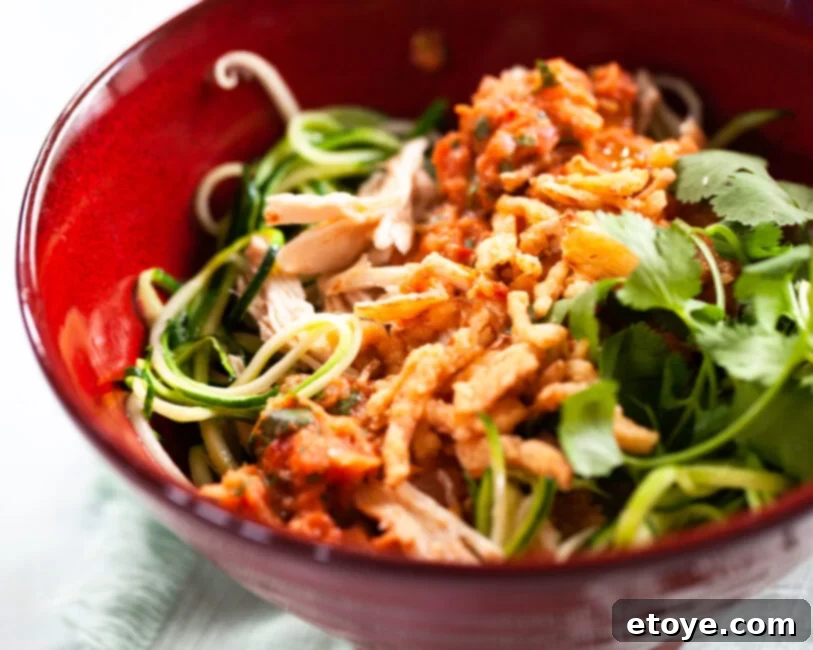 A top-down view of a completed Charred Tomato Salsa Chicken Bowl, ready to be served, highlighting the grilled chicken, vibrant salsa, zucchini noodles, crispy onions, and fresh cilantro.