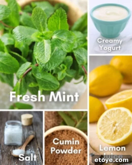 Refreshing Indian Mint Yogurt Dressing 4 img 208634 3