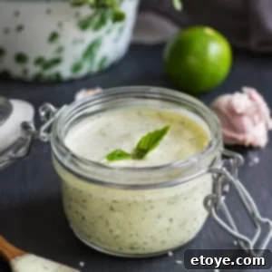 Refreshing Indian Mint Yogurt Dressing 5 Minty Indian Yogurt Dressing Recipe