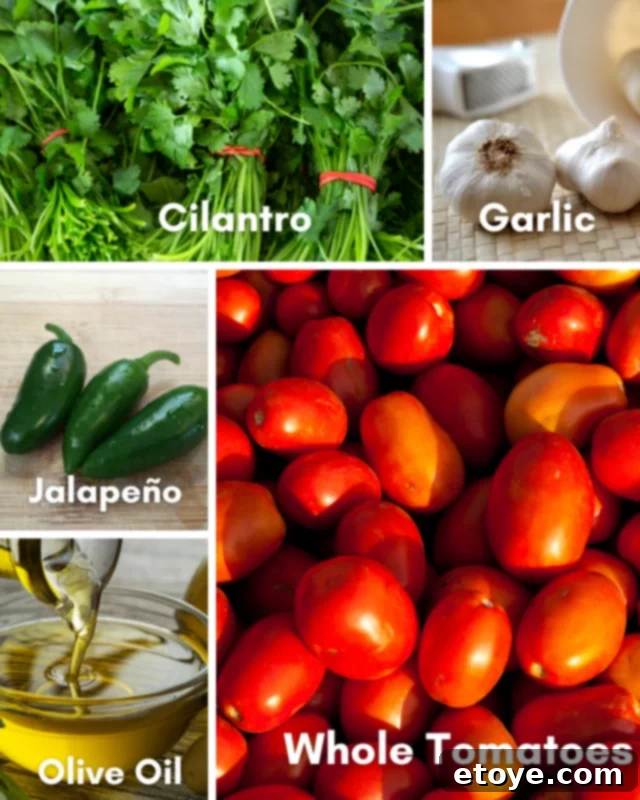 Fire-Kissed Tomato Salsa 6 A collage of fresh ingredients laid out before cooking, including Roma tomatoes, a jalapeño, red onion, garlic, cilantro, and olive oil.