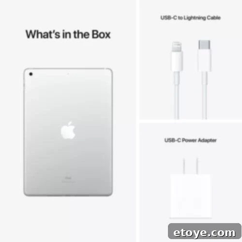 Apple iPad for Education, Entertainment, and Creative Work