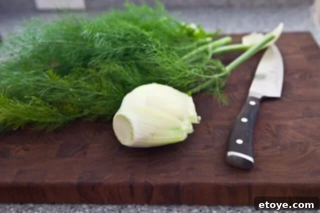 French Carrot Fennel Salad Recipe cutting fennel Slicing a fresh fennel bulb thinly for the French Carrot Fennel Salad recipe