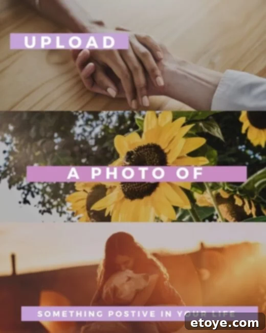 Positivity In Everyday Life Photo Contest Graphic Collage of flowers, pets and holding hands