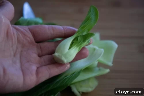 Tender baby bok choy