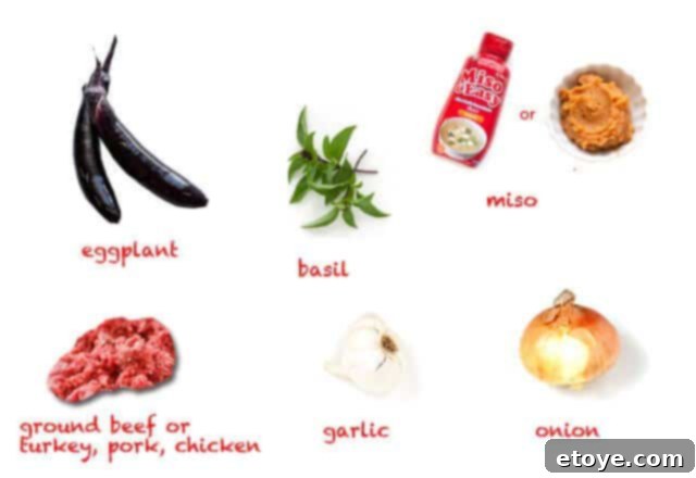Stuffed Miso Eggplant Recipe Ingredients Ingredients for Stuffed Miso Eggplant
