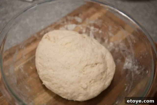 Perfectly Proofed Steamed Bun Dough Risen Dough - Fully proofed dough showing significant volume increase