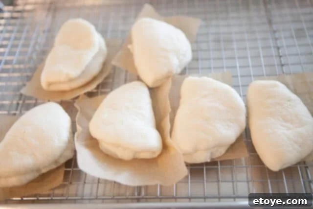 Pillowy Cooled Buns Cooled Steamed Buns - Gently cooled steamed buns