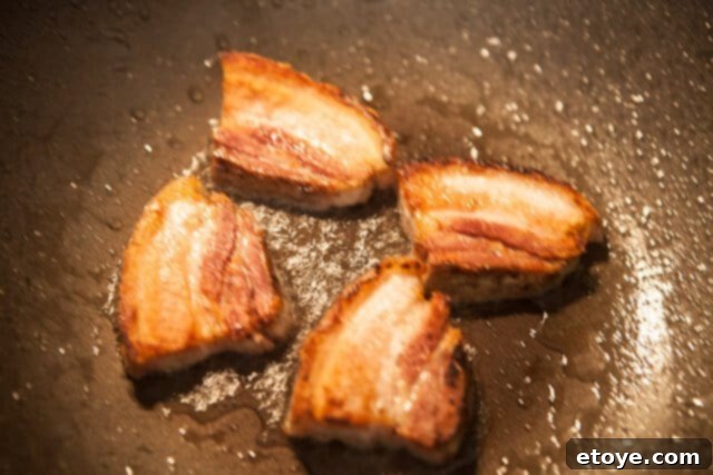 Searing Pork Belly for Crispy Perfection Browned Pork Belly Slices - Seared pork belly slices with crispy edges