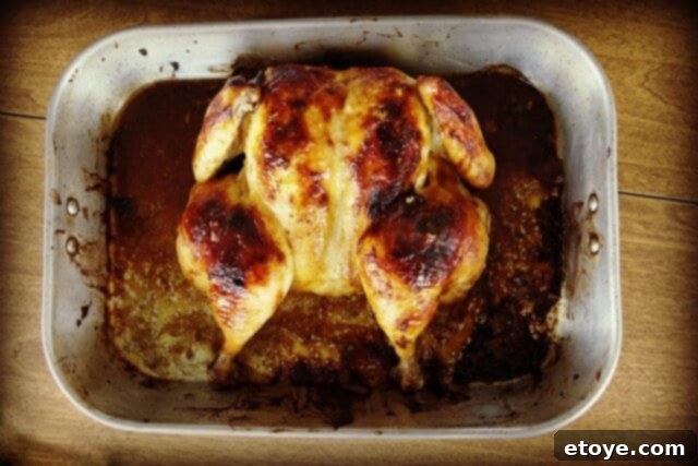 Miso Roast Chicken Miso Roast Chicken complete, beautifully golden brown and ready to serve