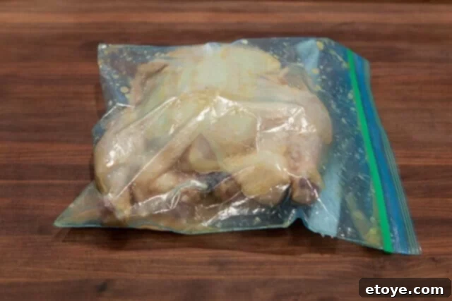 Miso Roast Chicken marinating Miso Roast Chicken marinating in a plastic bag