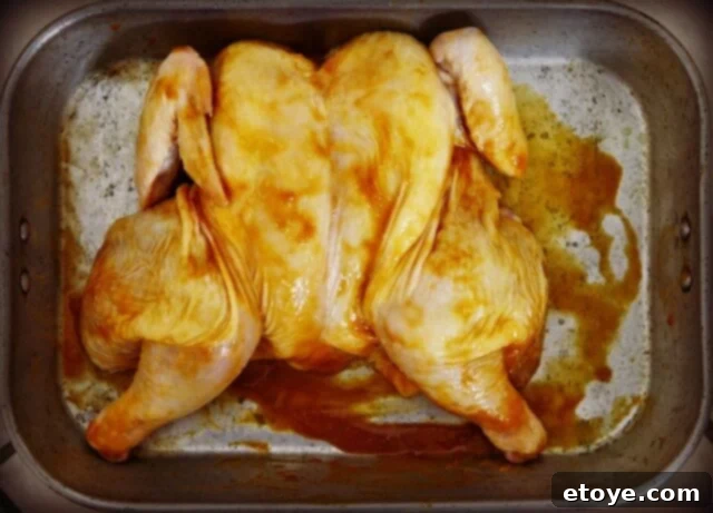 Miso Roast Chicken pre-roast Miso Roast Chicken getting ready to roast, laid flat in pan